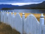 Landscape Vinyl Wall Graphic Decals 66