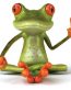 Peace Frog Color Sticker 7
