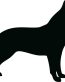 Pitbill Silhouette Die Cut Decal