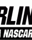 Racing Decal 10