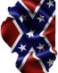 rebel flag ILLINOIS