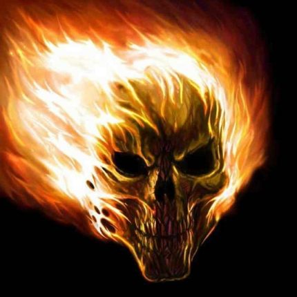 skull fire flame rectangular sticker