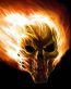 skull fire flame rectangular sticker