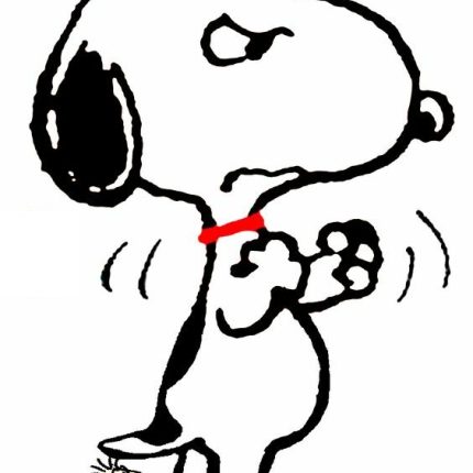 SNOOPY and Woodstock Peanuts Gang Sticker 16