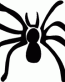 Spyder Decal 5