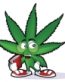 Weed Dude Decal