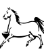 Horse decal