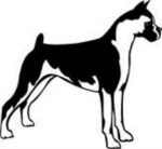 Boxer Dog Decal - 15E