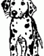 15K Dalmation Dog Decal