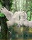 Fairies and Fantasy Wall Graphics 117