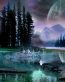 Fairies and Fantasy Wall Graphics 178