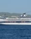 Celebrity Mercury Cruise Ship Sticker