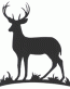 Deer Sticker 1