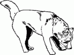 Dog Breed Decal 20