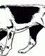 Dog Breed Decal 32a