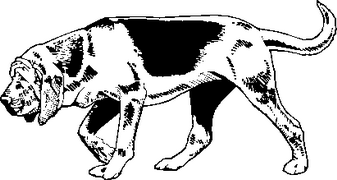 Dog Breed Decal 32a