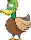 duck toon