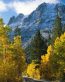 Fall Colors Adhesive Wall Graphics 37
