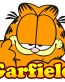 GARFIELD HEAD WITH TEXT STICKER