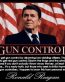 Gun Control Caption Stickers 4