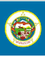 Minnesota State Flag Decal