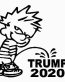 PEEON TRUMP 2020