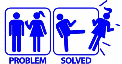 Problem Solved funny car decal