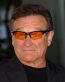 robin williams 23