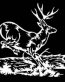 Running Deer Hunting Vinyl Decal