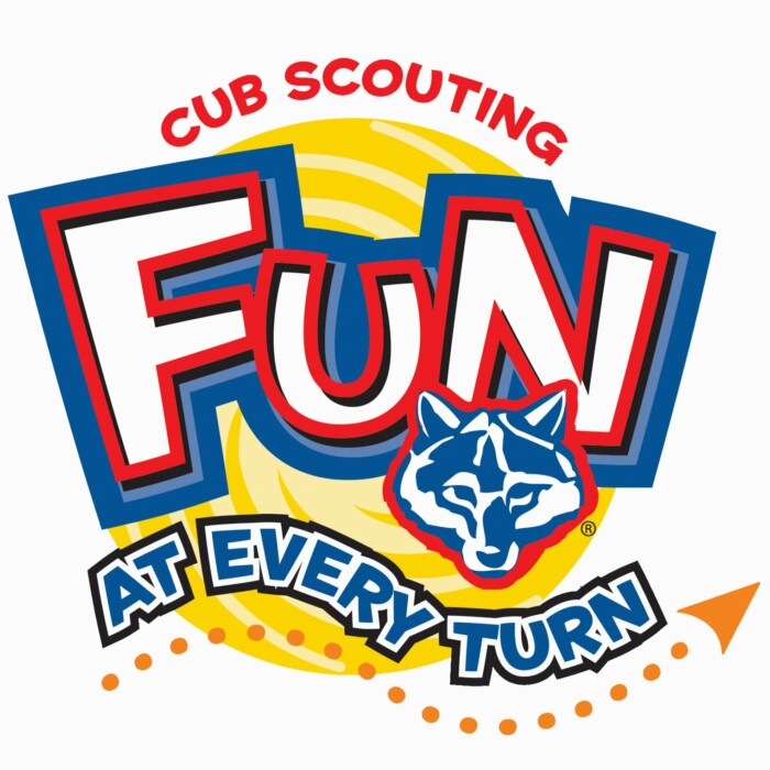 scouting fun sticker