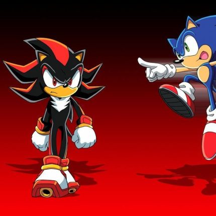 Sonic and shadow the hedgehog