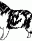 047 Collie Decal