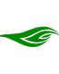 074 - Flame Decal Designs