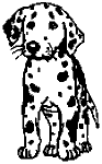 Dalmation Dog Decal - 15K