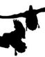 Flying Mallard Decal