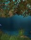 Fairies and Fantasy Wall Graphics 182