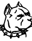 431 Pittbull Head 2