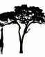 African Animal Decal 28