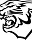 Arctic Cat Logo Diecut Racing Decal