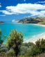Beaches and Costal Vinyl Wall Graphihcs 005
