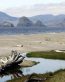 Beaches and Coastal Vinyl Wall Graphics 166