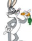 Bunny 15