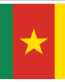 Cameroon Flag Decal