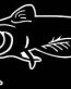Catfish Vinyl Fishing Decal 2