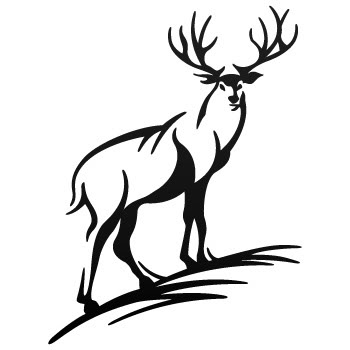 deer decal 66