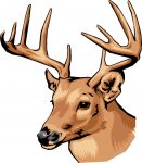 Deer Head Decal Color