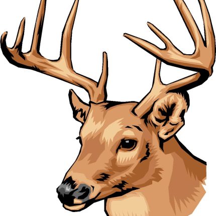 Deer Head Decal Color