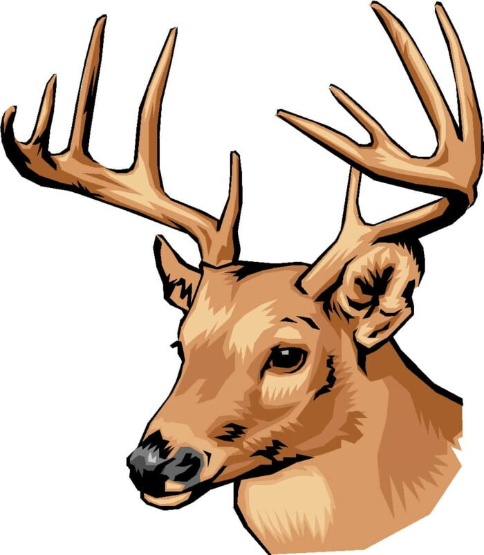 Deer Head Decal Color