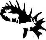 Deer Hunting Decal Sticker 44