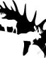 Deer Hunting Decal Sticker 44